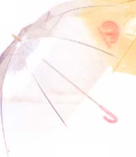 透明伞