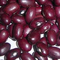 紫圆芸豆