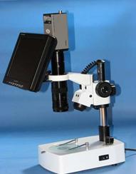 FLY系列单筒连续变倍视频显微镜