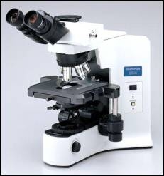 BX41奥林巴斯显微镜
