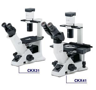 奥林巴斯CKX41CKX31倒置显微镜