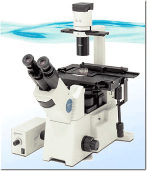 奥林巴斯IX51生物显微镜