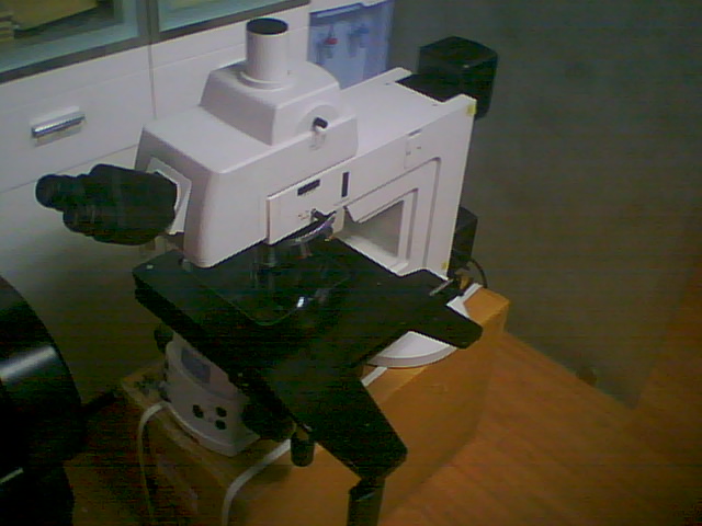 NIKON L200D 透反射半导体显微镜