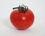 Tomato  Extract