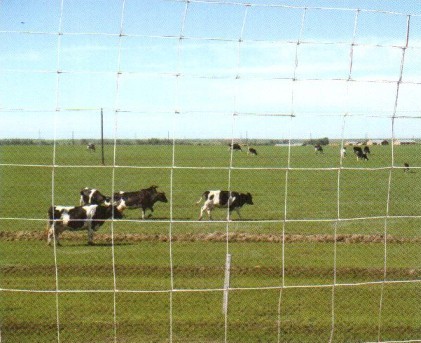 獣害防止柵、草原囲網、猪避け網、牛羊養成網、フェンス用網、