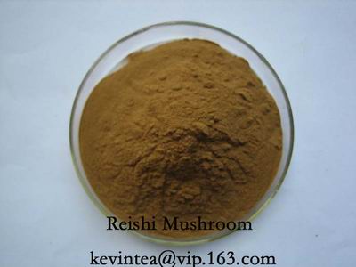 Reishi mushroom extract 