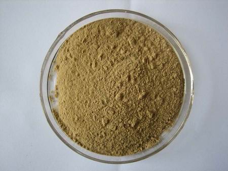 Tribulus Terrestris L Powder Extract 