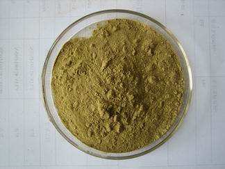Artichoke extract powder