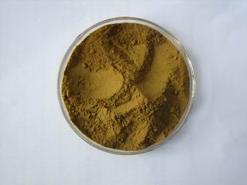 Oliver leaf extract 