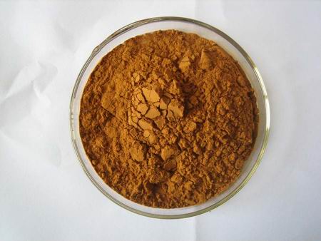 Ginger Powder Extract