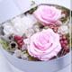 quaint pink！日本直送甜美香型干花系列装饰品[クイント ピンク quaint pink]