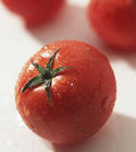 番茄红素 Lycopene -tomato extract