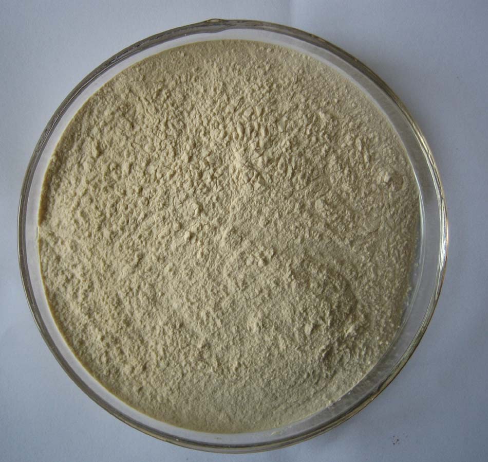 Garlic Powder Extracts:(tina@naturalinbio.com)