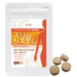 スリムシステム 