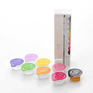 日本口气清新剂(BREATH PALETTE WATE 32