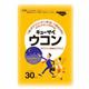 日本仙人堂郁金醒酒药[キューサイウコン]