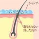 ［旅行4件套］日本仙人堂生发养发护理试用套