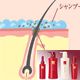 ［特惠4件套］日本仙人堂仙人堂生发养发护理