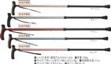 易支抗菌编码器[抗菌楽ーダ杖]