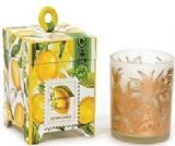 品牌产品！手工制作·100%纯天然大豆蜡的芳香蜡烛(REMONBAJIRU）[ブランド品！ハンドメイド·ナチュラルソイワ