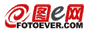 图E网