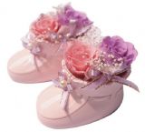 粉色玫瑰宝宝鞋宝鲜花（保鲜花）