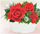 【保鲜花】红玫瑰与康乃馨的温馨白瓷花篮[レッドローズ＆カーネーションの白磁バスケット]