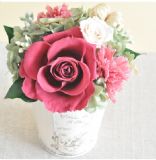 【保鲜花】 美丽的蔓越莓花色玫瑰铁罐花束[ プリザーブドフラワー ブリキポット]