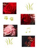 【保鲜花】【母亲节】玫瑰康乃馨与神秘黑色花瓶组合 NOIR[プリザーブドフラワー　ノワ
